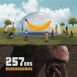 257ers Holz 124095