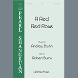 Andrew Bruhn A Red, Red Rose 1345473