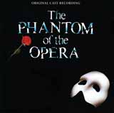Andrew Lloyd Webber The Music Of The Night (from The Phantom Of The Opera) (Verse Only) 32222