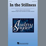 Audrey Snyder In The Stillness 98150
