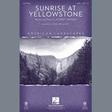 Audrey Snyder Sunrise At Yellowstone  (from American Landscapes) 98043