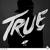 Avicii Hey Brother 153520