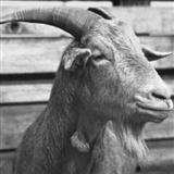 B Lee Paddy McGintys Goat 17383