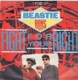 Beastie Boys Fight For Your Right (To Party) 251312