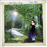 Beth Nielsen Chapman Every December Sky 49855