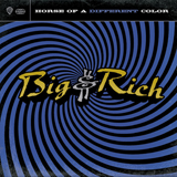 Big & Rich Save A Horse (Ride A Cowboy) 411140