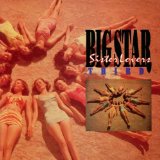 Big Star Kangaroo 43491