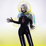 Bjork Notget 125649