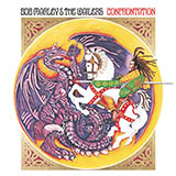 Bob Marley Buffalo Soldier 79110