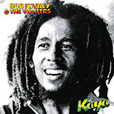 Bob Marley Easy Skanking 23308