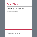 Brian Elias I Saw a Peacock 1625359