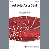 Bruce W. Tippette Set Me As A Seal 250702