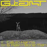 Calvin Harris & Rag'n'Bone Man Giant 408275