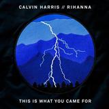 Calvin Harris This Is What You Came For (feat. Rihanna) 185814