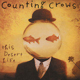 Counting Crows Colorblind 153516