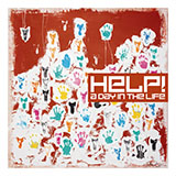 Damien Rice Cross-Eyed Bear 47363