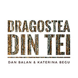 Dan Balan Dragostea Din Tei 45653