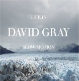 David Gray Now And Always 32881