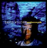 David Wilcox All My Life 69134