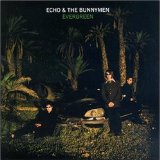 Echo & The Bunnymen Nothing Lasts Forever 106239