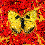 Ed Sheeran Shivers 1804959