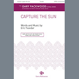 Eric Tsavdar Capture The Sun 1357283