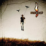 Flyleaf Cassie 57515
