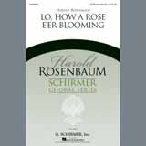 Harold Rosenbaum Lo, How A Rose E'er Blooming 97824
