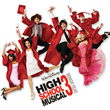 High School Musical 3 High School Musical 67451