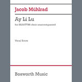 Jacob Mühlrad Ay Li Lu 1645711