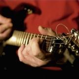 Jeff Schroedl Smorgasbord (Theme from GuitarInstructor.com) 67029
