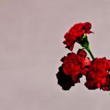 John Legend Who Do We Think We Are 158950