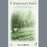 Joseph M. Martin A Shepherd's Psalm 151191