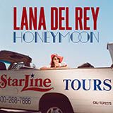 Lana Del Rey Don't Let Me Be Misunderstood 163451