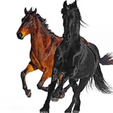 Lil Nas X feat. Billy Ray Cyrus Old Town Road (Remix) 425630