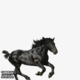 Lil Nas X Old Town Road (I Got The Horses In The Back) 412503