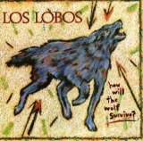 Los Lobos Don't Worry Baby 90067