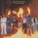 Lynyrd Skynyrd I Know A Little 31122
