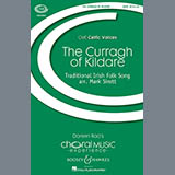 Mark Sirett The Curragh Of Kildare 76221
