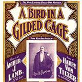 Maurice J. Gunsky A Bird In A Gilded Cage 122787