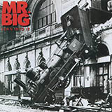 Mr. Big Daddy, Brother, Lover, Little Boy 199530