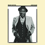 Muddy Waters Deep Down In Florida 848370