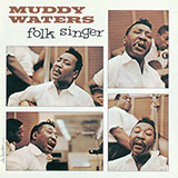 Muddy Waters Good Morning Little Schoolgirl 1411738
