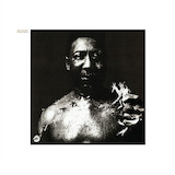Muddy Waters Rollin' And Tumblin' 1596332