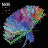 Muse Animals 164703
