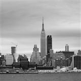 Odyssey Native New Yorker 36262