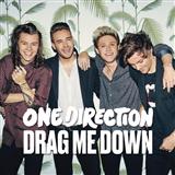 One Direction Drag Me Down 160958