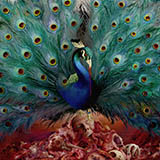 Opeth Sorceress 251989