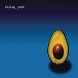 Pearl Jam World Wide Suicide 172425