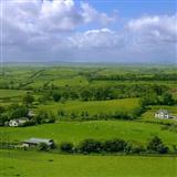 Pete St. John The Fields Of Athenry 56732